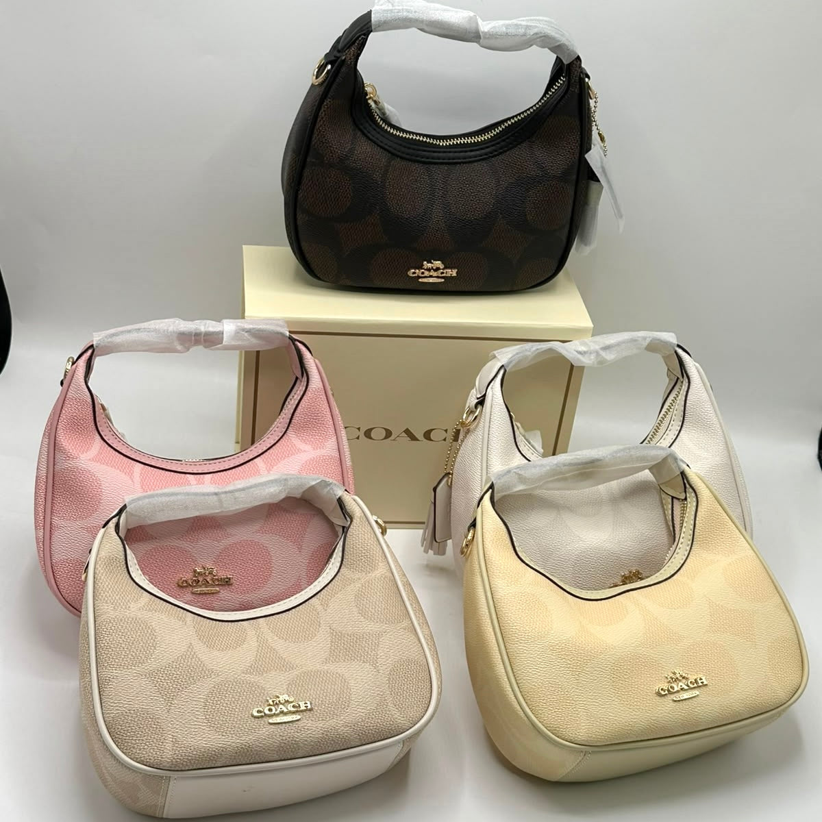 Coach Mini Bag- Box Packing