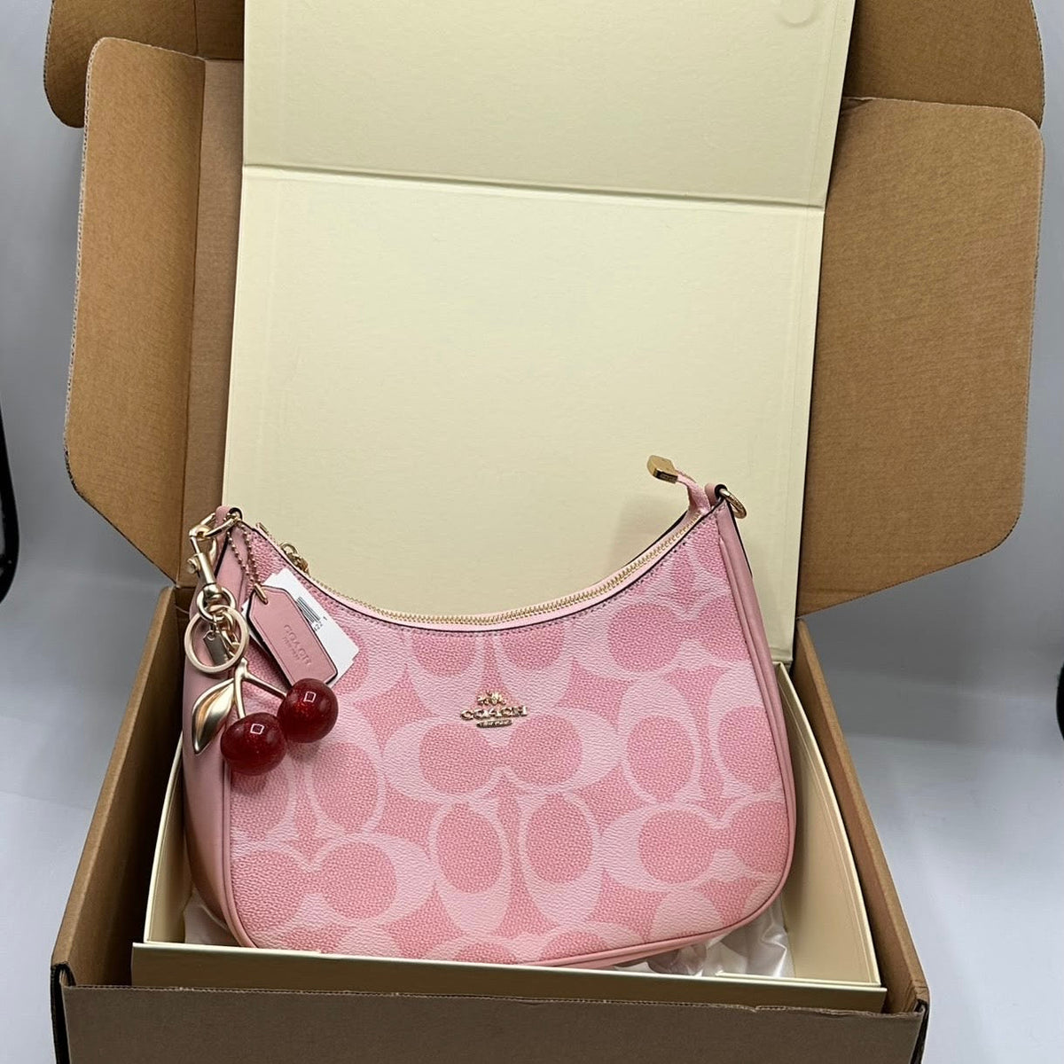 Coach Teri Shoulder Bag  (Master)-Box Packing