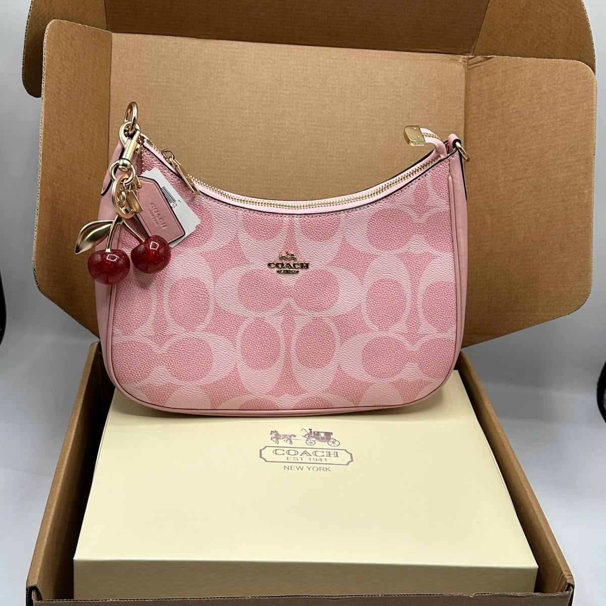 Coach Teri Shoulder Bag  (Master)-Box Packing