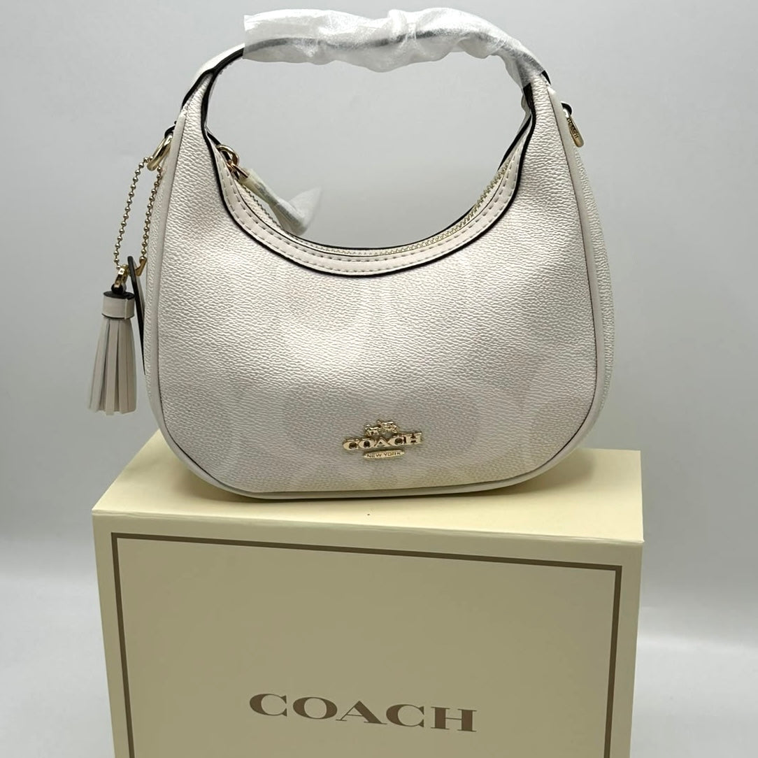 Coach Mini Bag- Box Packing
