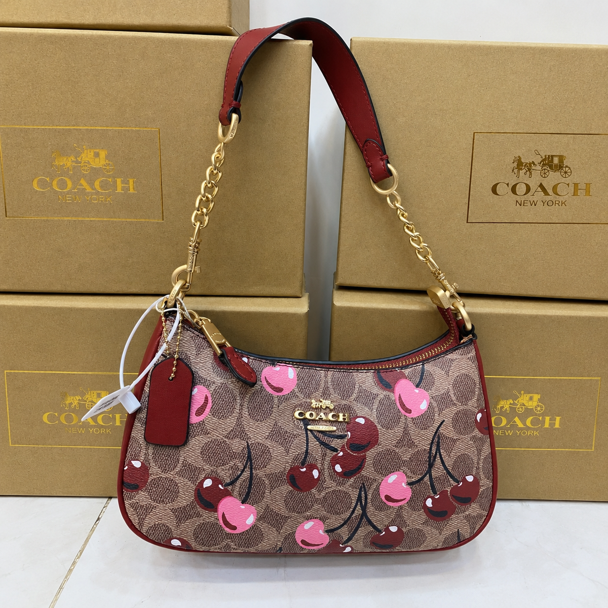 Coach Teri Shoulder Bag in Canvas  (Master)-Box Packing