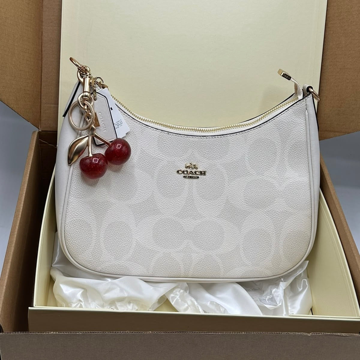 Coach Teri Shoulder Bag  (Master)-Box Packing