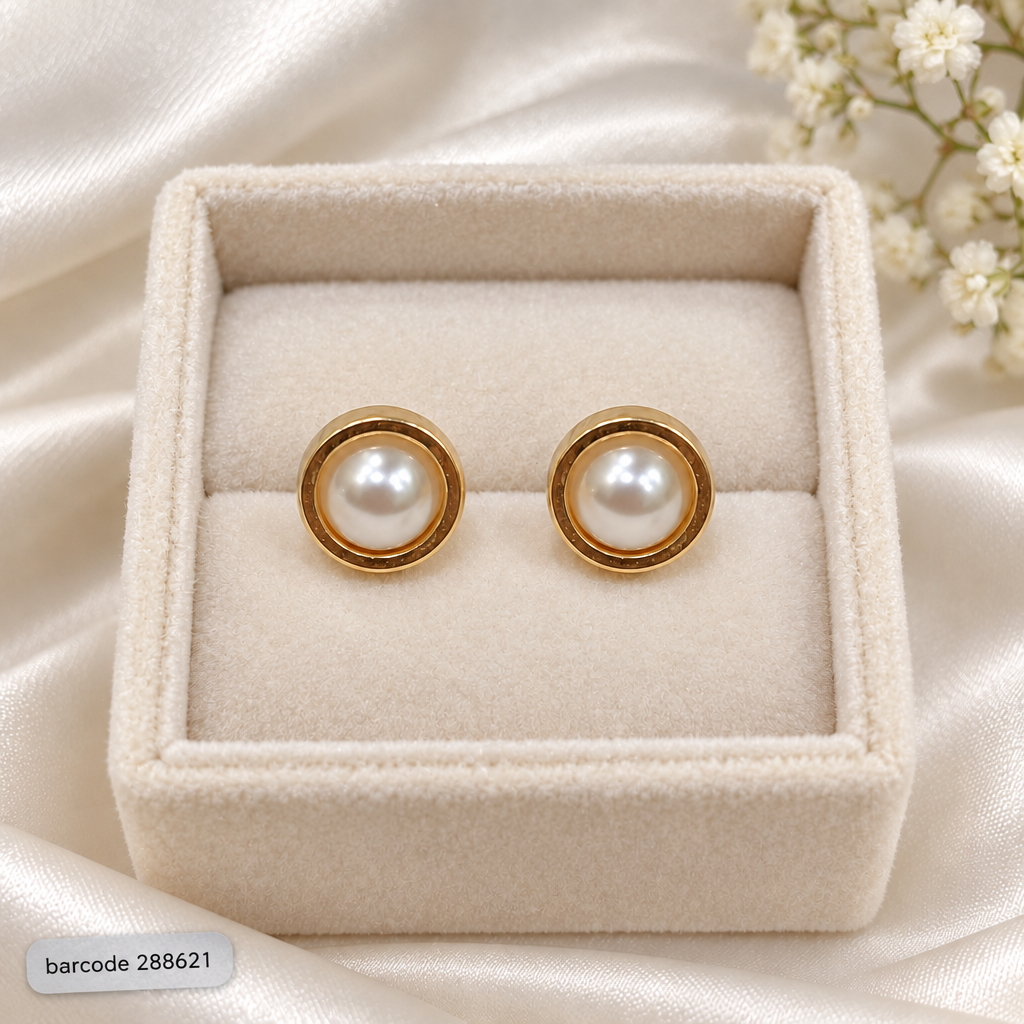 Stainless Steel Studs-33