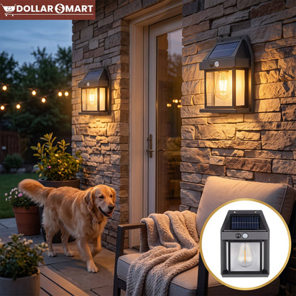 Solar Outdoor Light