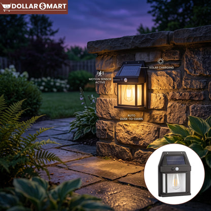 Solar Outdoor Light