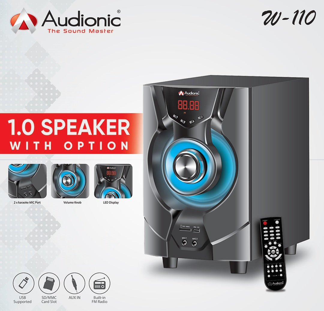 Computer multimedia speaker 1.0 with w-110