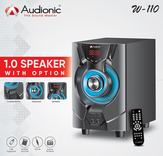 Computer multimedia speaker 1.0 with w-110