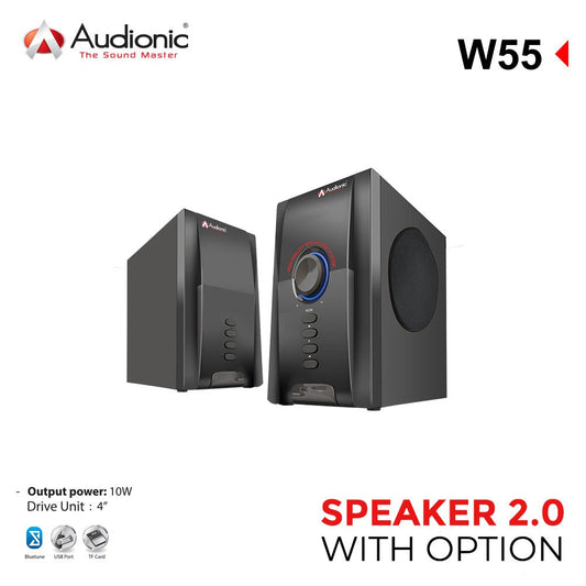 W55 Computer Multimedia 2.0 Speaker