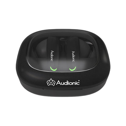 Airbud 735 Ion with ANC