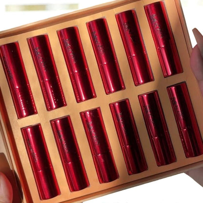 Handaiyan 12 Pieces Premium Lipstick Set