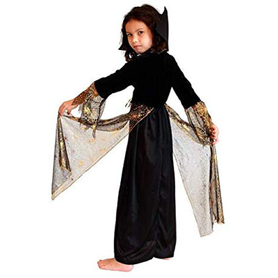Halloween Pretty Spider Girl Costume